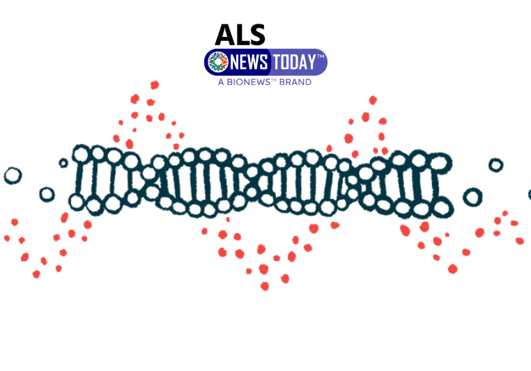 ALS News Today Research Sheds New Light On ALS Gene Mutation