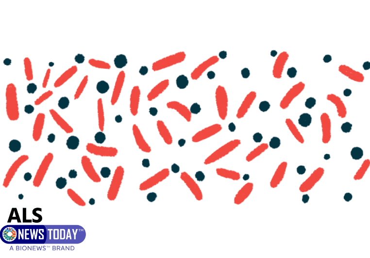 Bacteria Mix To Aid Gut Microbiome May Slow ALS Progression
